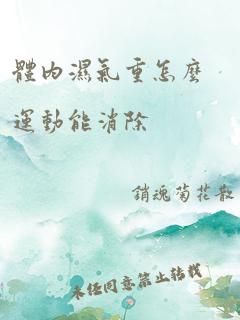 体内湿气重怎么运动能消除