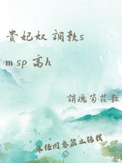 贵妃奴 调教sm sp 高h