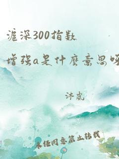 沪深300指数增强a是什么意思呀