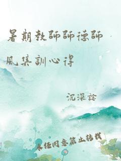 暑期教师师德师风集训心得