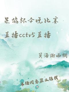 足协杯今晚比赛直播cctv5直播