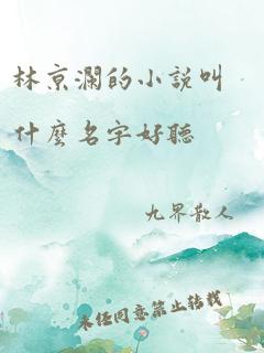 林京澜的小说叫什么名字好听