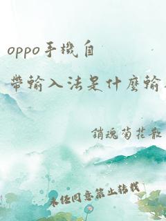 oppo手机自带输入法是什么输入法