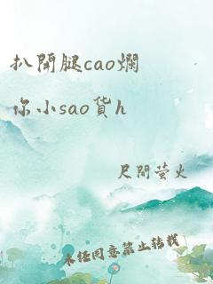 扒开腿cao烂你小sao货h