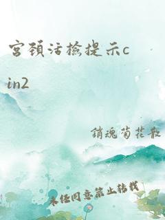 宫颈活检提示cin2