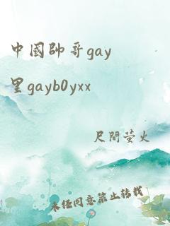 中国帅哥gay里gayb0yxx