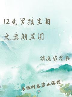 12岁男孩生日文案朋友圈