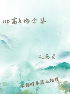 np高h肉合集