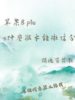 苹果8 plus什么版本能微信分身