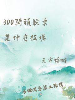 300开头股票是什么板块