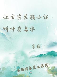 江玄宋慕颜小说叫什么名字