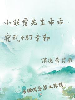 小说霍先生乖乖宠我487章节