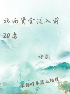 北向资金流入前20名