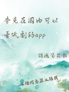 夸克在国内可以看俄剧的app