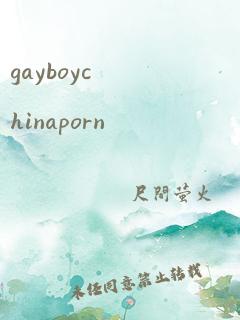 gayboychinaporn