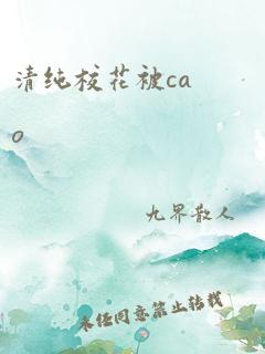 清纯校花被cao