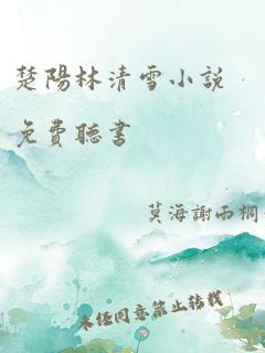 楚阳林清雪小说免费听书