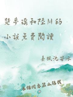 楚梦瑶和陆川的小说免费阅读