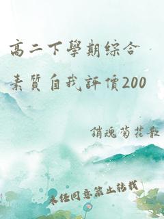 高二下学期综合素质自我评价200