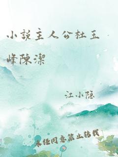 小说主人公杜玉峰陈洁