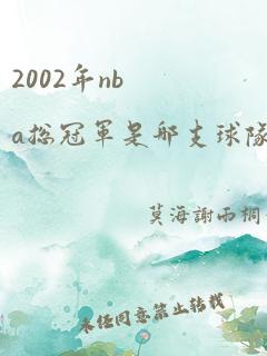 2002年nba总冠军是哪支球队