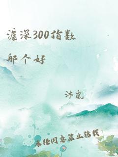 沪深300指数哪个好