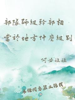 部队师级干部相当于地方什么级别