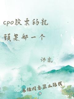 cpo股票的龙头是哪一个