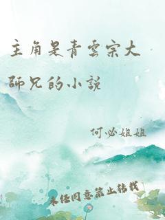 主角是青云宗大师兄的小说