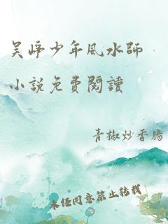 吴峥少年风水师小说免费阅读