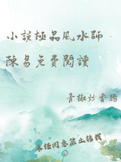 小说极品风水师陈易免费阅读