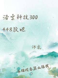 浩云科技300448股吧