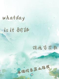 whatday is it 翻译