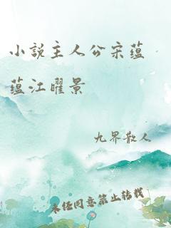 小说主人公宋蕴蕴江曜景