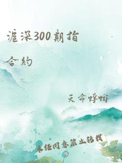 沪深300期指合约