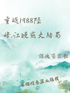 重返1988陆峰,江晓燕大结局