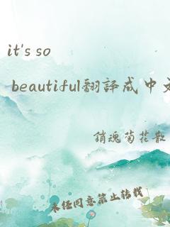 it's so beautiful翻译成中文