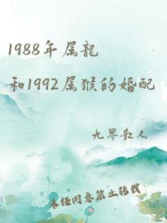 1988年属龙和1992属猴的婚配