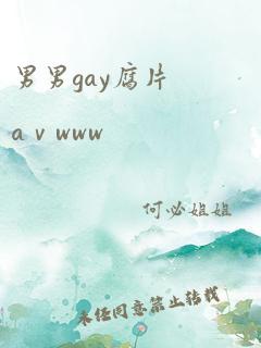 男男gay腐片aⅴwww