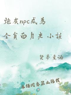 炮灰npc成为全员白月光 小说