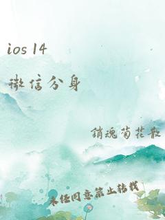 ios 14 微信分身