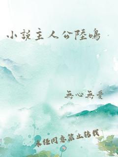 小说主人公陆鸣