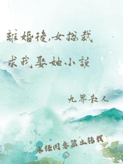 离婚后,女总裁求我娶她小说