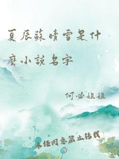 夏辰苏晴雪是什么小说名字