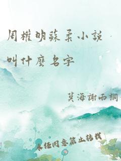 周权明苏柔小说叫什么名字