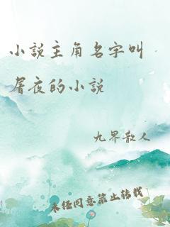 小说主角名字叫屠夜的小说