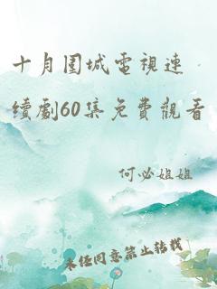 十月围城电视连续剧60集免费观看