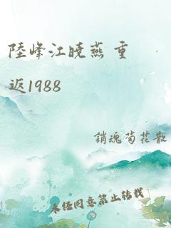 陆峰江晓燕 重返1988