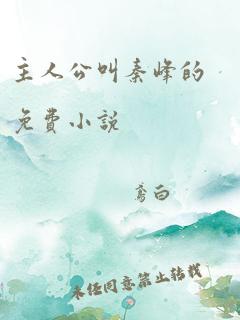 主人公叫秦峰的免费小说