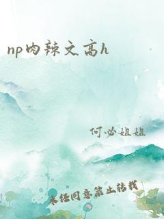 np肉辣文高h